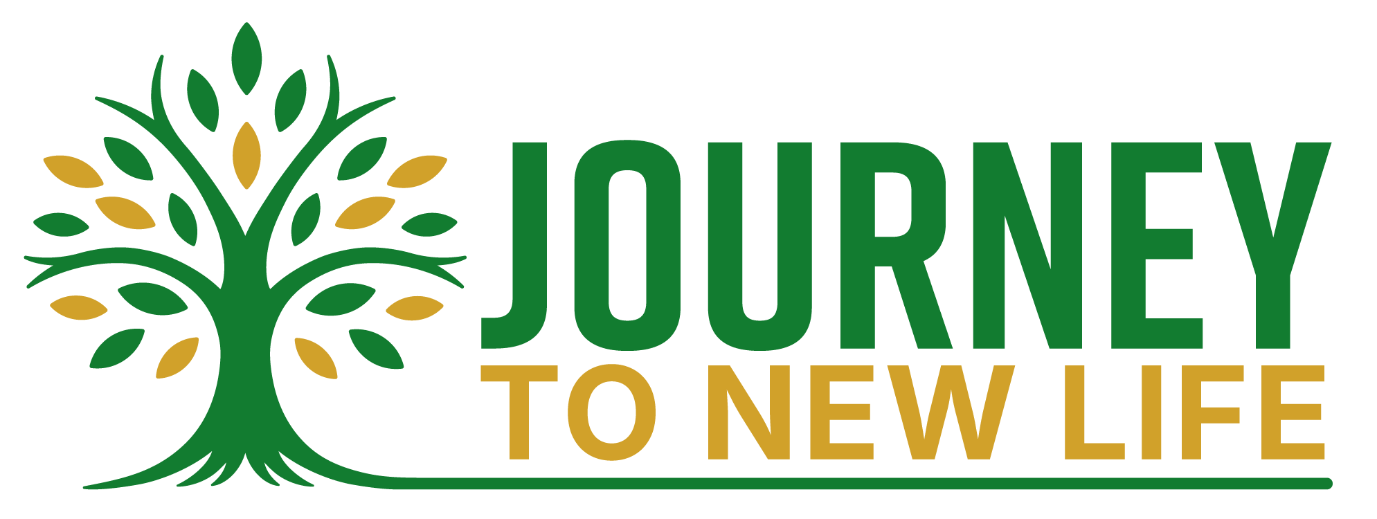 Journey to New Life, Inc.